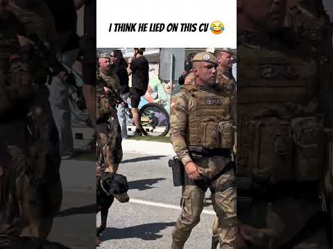 Military Golden retriever #funny #goldenretriever #fypシ゚viral
