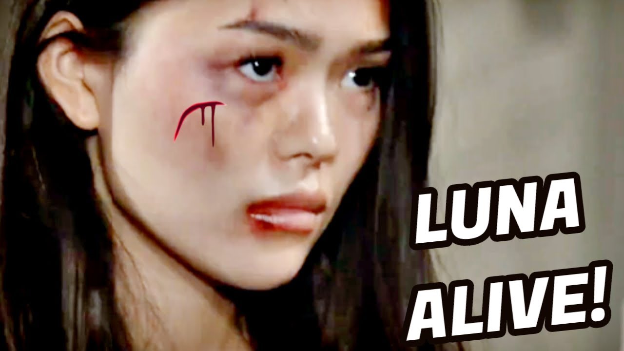 YouTube Thumbnail Downloader FULL HQ IMAGE