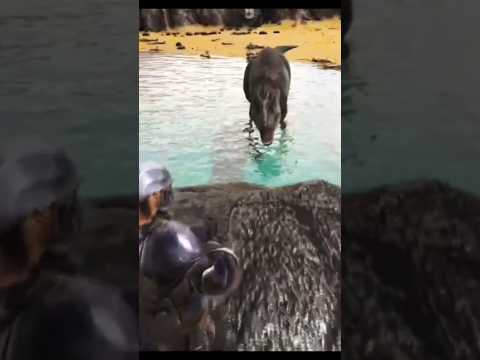 THE CRAZIEST ARK MOMENT EVER!!!