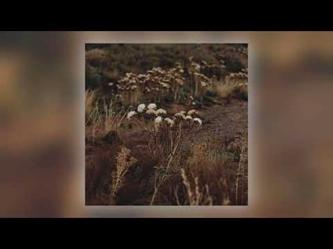 The Shaolin Afronauts - Salt Flat Muscle [Audio]