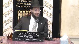 הרב משה יוסף • דיני סעודת הפורים