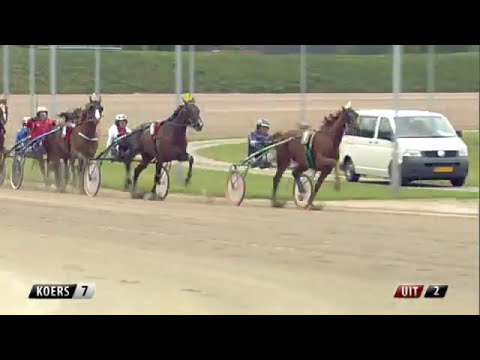 Victoria Park Wolvega 1-9-2013 KOERS 7 TINTIN RENKA - R. EBBINGE