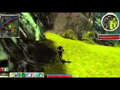 Guild Wars Byzzr Elite Monk Tome Farming