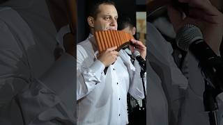 Download lagu Doina de Jale - comp . Gheorghe Zamfir mp3 Download lagu Doina de Jale - comp . Gheorghe Zamfir mp3