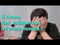 Я Алень как избавиться от этого позора мысли холостяка