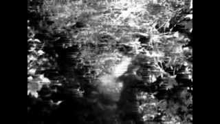 Wilma&#39;s Rainbow - Helmet [Lyrics on screen]