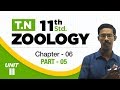 TN 11th Std Zoology Respiration New Syllabus 2018 Ch 06 Part 05 VOL 1