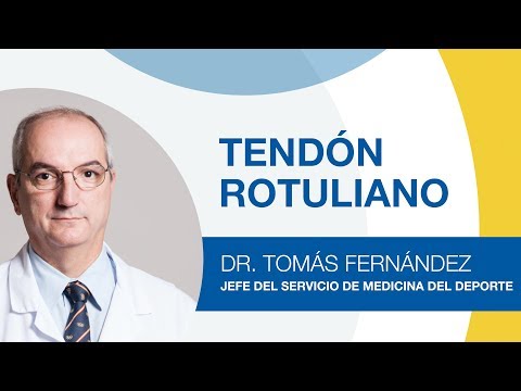 Tendón Rotuliano