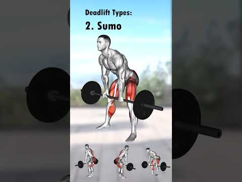 Deadlift Types, Which Is Your Favourite?