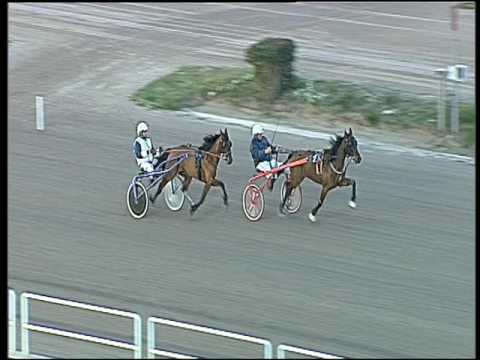 Trotto 12/03/2017 - prova di qualifica