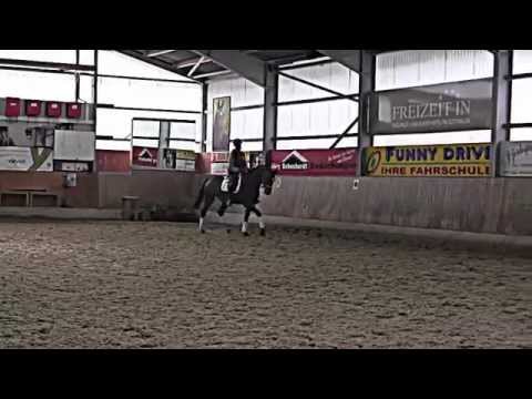 Wallach *2009 Londontime x Fabriano