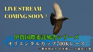 2026年度「伊賀オリエンタルカップ700K」ライブ配信！(アーカイブ）