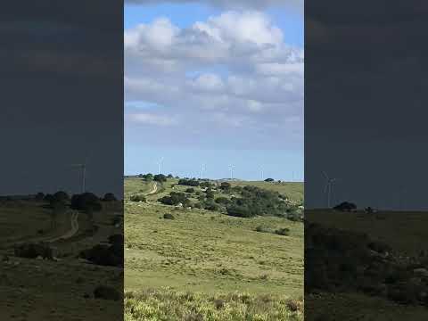 Sierra de Caracoles. Maldonado Oeste. Marzo 2026.