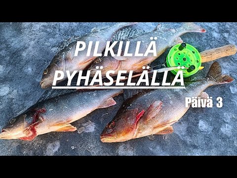 AHVENPILKILLÄ ITÄ-SUOMESSA 3/3