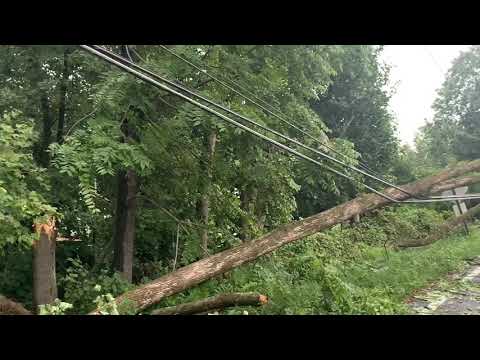 08-29-2020 Chalfont PA Storm Damage Upper State Road