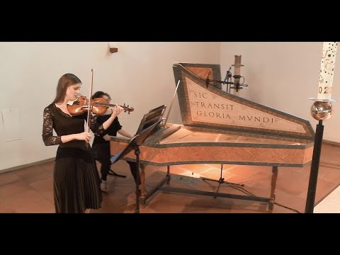 J.H. Schmelzer - Sonata 2 a violino solo