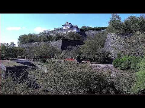 津山城（鶴山公園）のライブカメラ映像