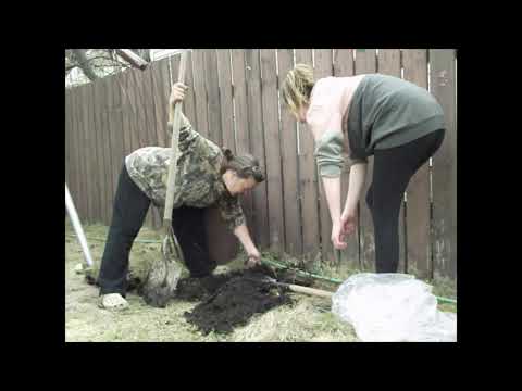 Our cat died. We are burying our cat in the yard in this video.