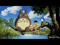 Relaxing Music Without Ads Ghibli Studio Ghibli Concert BGM For Work Healing Study