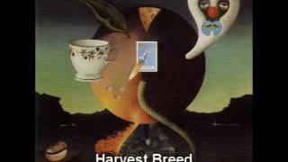 Nick Drake - Harvest Breed.mov