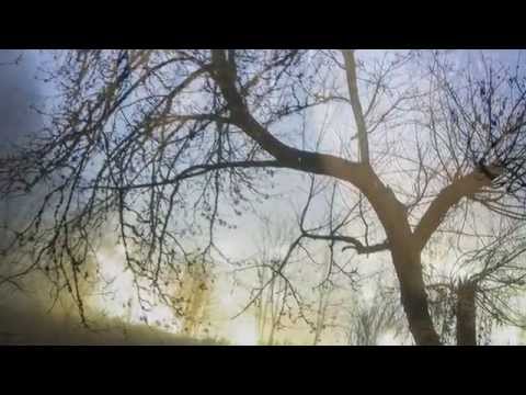 download lagu mp3 mp4 Renee Michele Seasons Of The Heart, download lagu Renee Michele Seasons Of The Heart gratis, unduh video klip Renee Michele Seasons Of The Heart