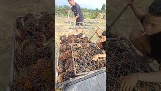 Download lagu jan di kecekan panek juo lay kawan#minang #storywa #satuklikuntukwujudkanimpianmu mp3