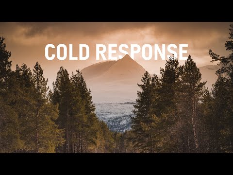 Cold Response 2022 - Swedish Armed Forces