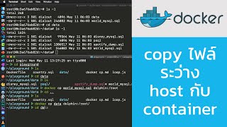 การ copy ไฟล์ระหว่าง host และ docker container