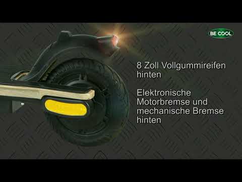 Be Cool E-Scooter Woodpecker