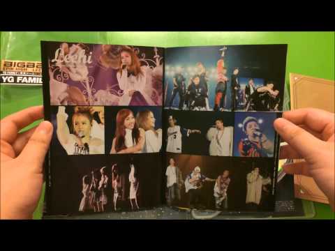 YG FAMILY WORLD TOUR 2014 -POWER- in Japan (DVD) (Japan Ver.)