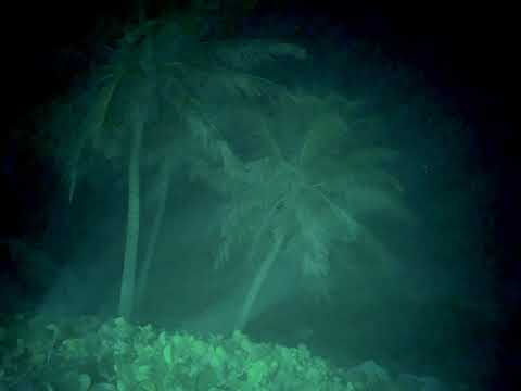 David Hasert & Esther Silex - RunRunRun