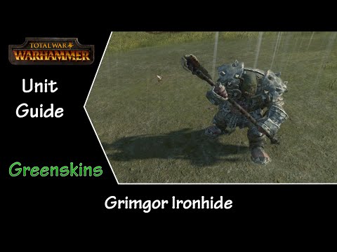 Total War: Warhammer Unit Guide - Greenskins - Grimgor Ironhide