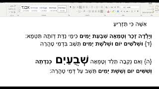 דף היומי סנהדרין דף ד
