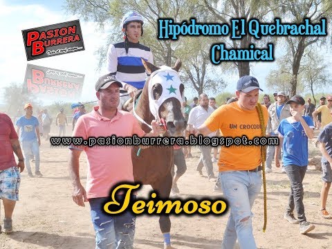 TEIMOSO, El Quebrachal - Chamical (15-12-19)