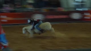 preview picture of video 'Mutton Bustin 2013 Houston Rodeo'