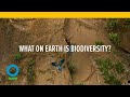 What On Earth Is Biodiversity