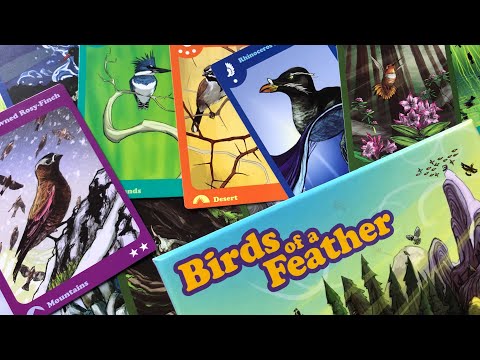 Box of Delights Presents ... BIRDS OF A FEATHER - SOLO !