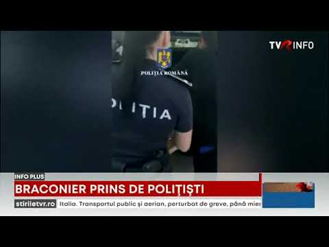 Galaţi: Bărbat prins în timp ce captura ilegal păsări din specia Sticlete