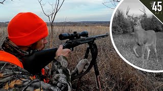 BIG BUCK at Last Light!!! (Iowa Public Land Hunting)