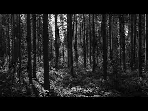 Suika #053 w/ Ceas, Okain, Bolgarin, Depaart, Trentmoller, Jonas Saalbach and others...