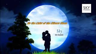 By the Light of the Silvery Moon
