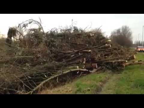 Stadt beseitigt Schandfleck