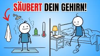 15 kleine Abendgewohnheiten, die dein Gehirn über Nacht aufräumen (wissenschaftlich belegt)