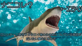 【ゆっくり茶番】無人島生活[１日目]？