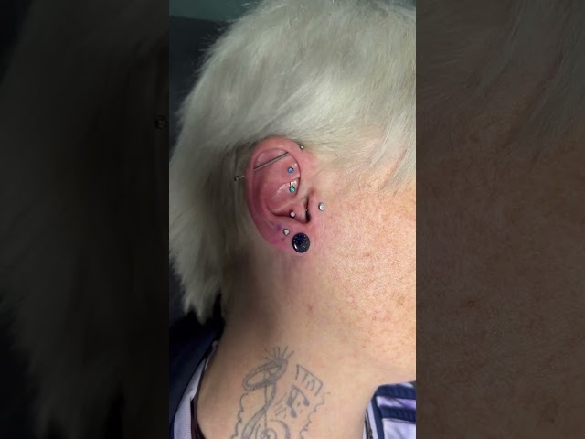 Vídeo relacionado con jagosen 5Piezas Piercing Tragus Labio Mujer 16G 8 MM Cartílago Helix Piercing Oreja Plata Diamante CZ Bola Tragus Piercing 5pcs