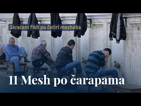 Mesh po čarapama - dr. Zijad Ljakić