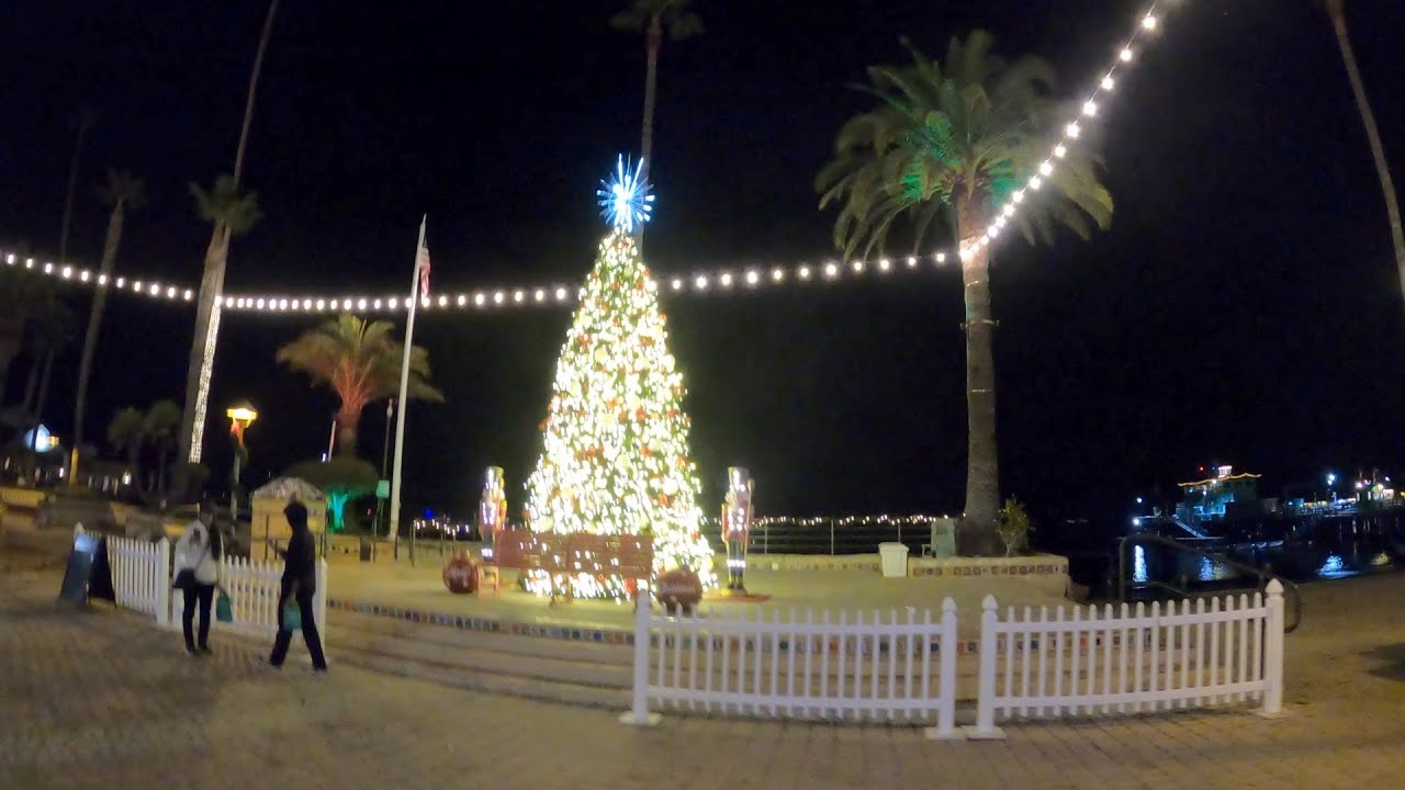 Pre-Christmas Cruise to Avalon (Dec 2022)