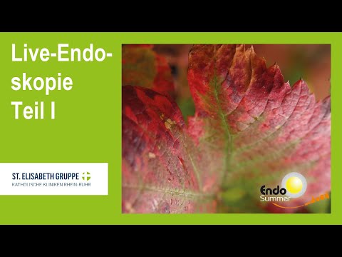 Endosummer 2021 – Neues aus Endoskopie und OP– Live-Endoskopie Teil 1