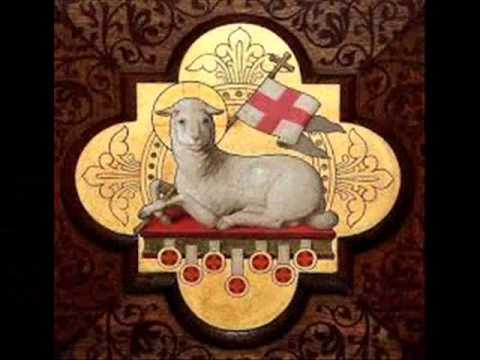 Agnus Dei. Cum Jublio. Feast of the Assumption. 2014. Caulfield. Australia