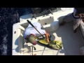 Huge Ass Five Star Mahi Mahi